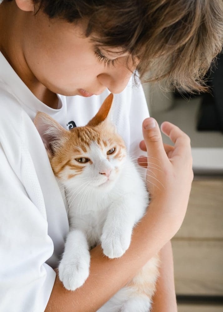 boy holding a cat